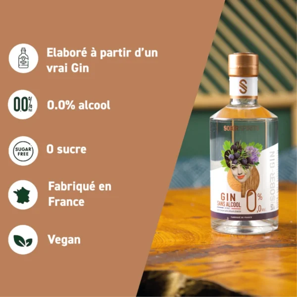 GIN SANS ALCOOL – Image 2
