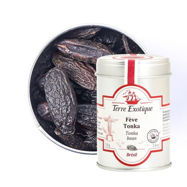 FÈVE DE TONKA GRAINES TERRE EXOTIQUE