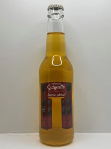 GUIGNETTE SAVEUR ABRICOT 33CL