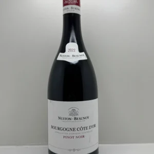 BOURGOGNE CÔTE D'OR ROUGE 2022 75CL LES TERRES SECRÈTES