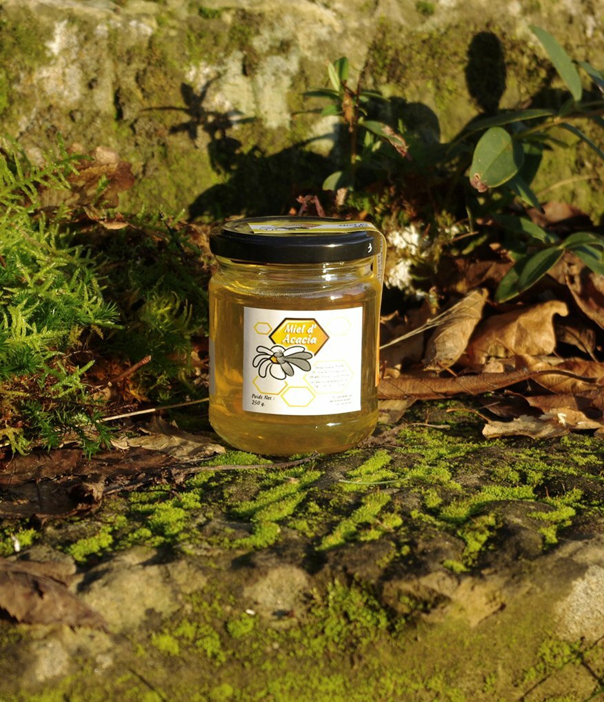 MIEL D'ACACIA 250g PIERRE MILLE AILES