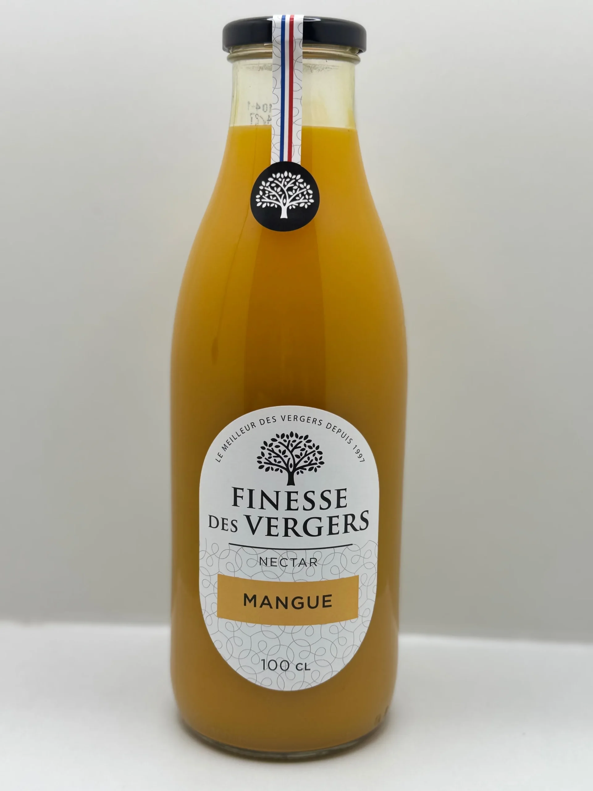 NECTAR DE MANGUE FINESSE DES VERGERS 1L
