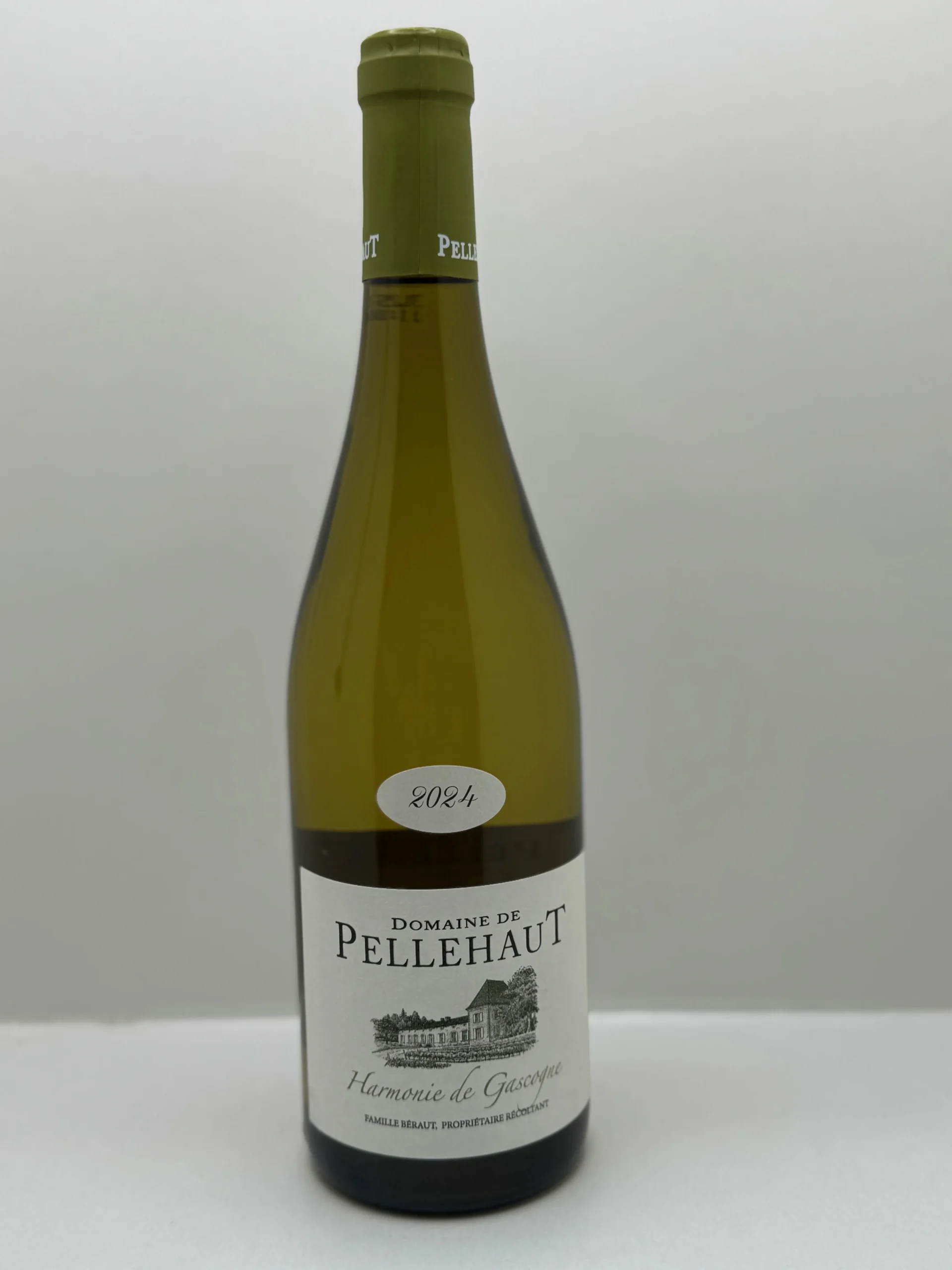 L'ÉTÉ GASCON BLANC 10,5% 75CL DOMAINE DE PELLEHAUT