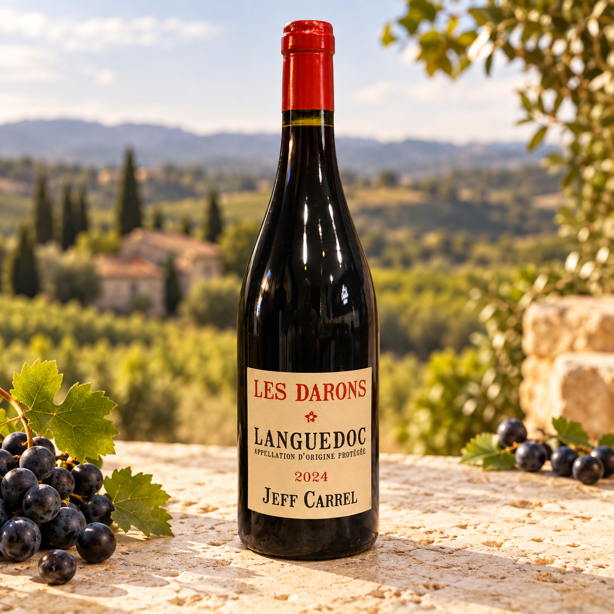 VIN ROUGE LES DARONS 75CL JEFF CARREL