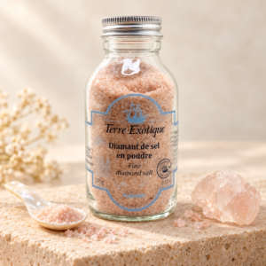 DIAMANT DE SEL EN POUDRE 280G TERRRE EXOTIQUE